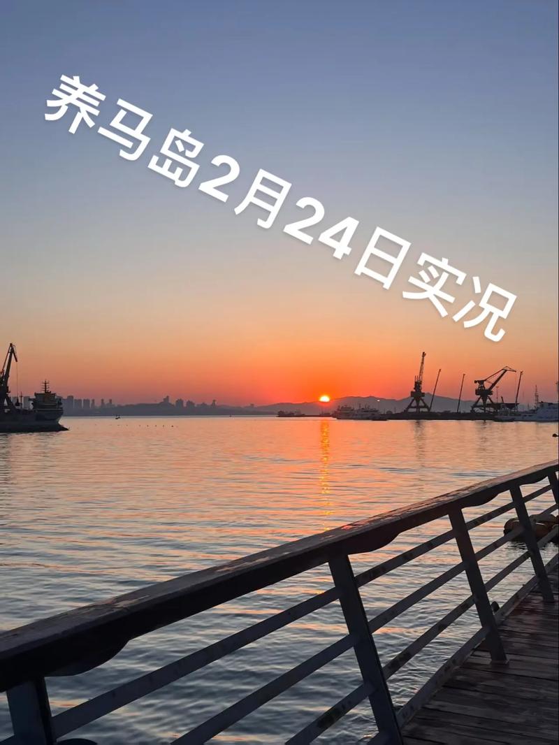 2月24日养马岛实况旅游攻略｜租车·民宿·旅游一站式服务助你玩转“东方夏威夷”